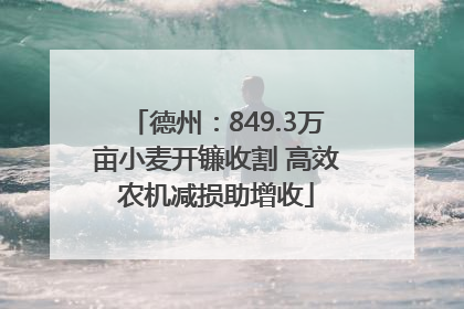 德州：849.3万亩小麦开镰收割 高效农机减损助增收