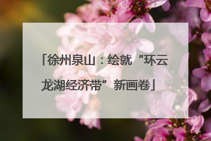 徐州泉山：绘就“环云龙湖经济带”新画卷