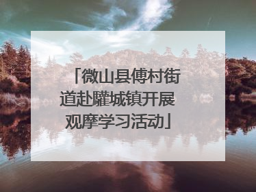 微山县傅村街道赴驩城镇开展观摩学习活动