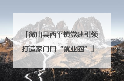 微山县西平镇党建引领打造家门口“就业圈”