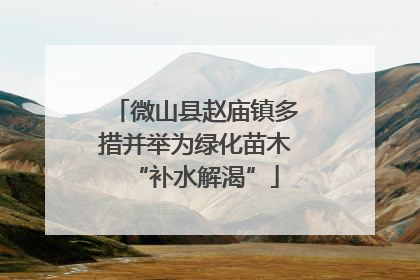 微山县赵庙镇多措并举为绿化苗木“补水解渴”