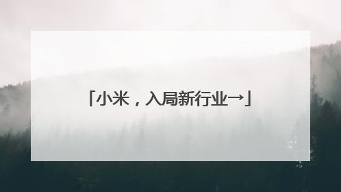 小米，入局新行业→