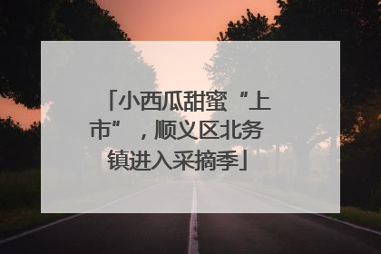 小西瓜甜蜜“上市”，顺义区北务镇进入采摘季