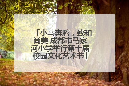 小马奔腾，致和尚美 成都市马家河小学举行第十届校园文化艺术节