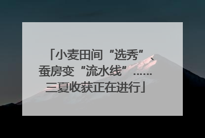 小麦田间“选秀”、蚕房变“流水线”……三夏收获正在进行