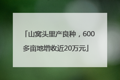 山窝头里产良种，600多亩地增收近20万元