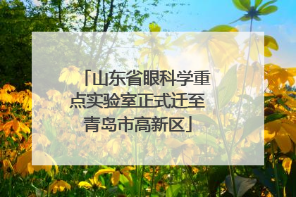 山东省眼科学重点实验室正式迁至青岛市高新区