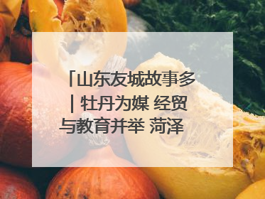 山东友城故事多｜牡丹为媒 经贸与教育并举 菏泽国际“朋友圈”扩容升级