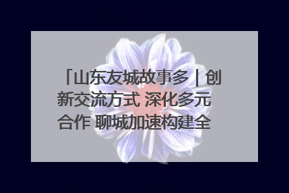 山东友城故事多｜创新交流方式 深化多元合作 聊城加速构建全球友城新格局