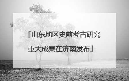 山东地区史前考古研究重大成果在济南发布