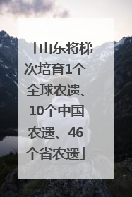 山东将梯次培育1个全球农遗、10个中国农遗、46个省农遗