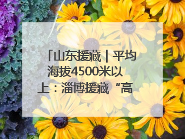 山东援藏｜平均海拔4500米以上：淄博援藏“高”在哪里？