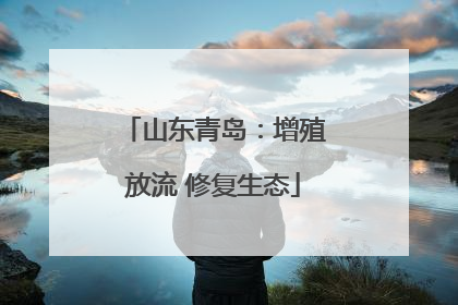 山东青岛：增殖放流 修复生态