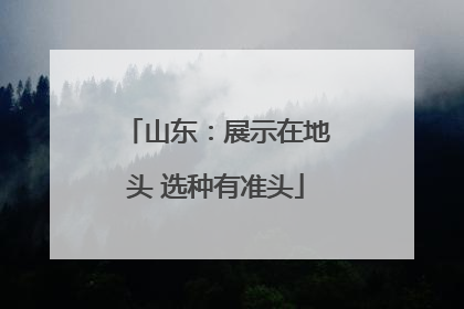山东：展示在地头 选种有准头