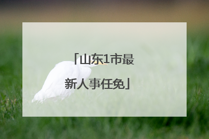 山东1市最新人事任免