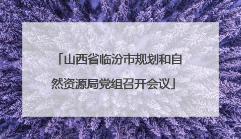 山西省临汾市规划和自然资源局党组召开会议