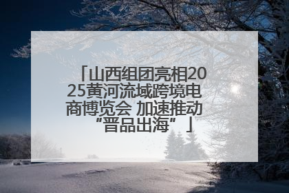 山西组团亮相2025黄河流域跨境电商博览会 加速推动“晋品出海”
