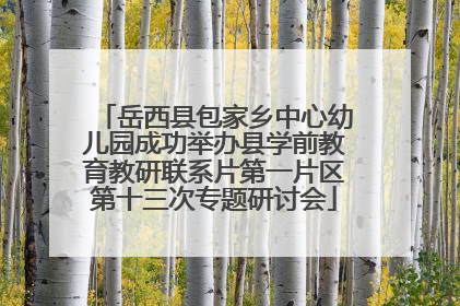 岳西县包家乡中心幼儿园成功举办县学前教育教研联系片第一片区第十三次专题研讨会