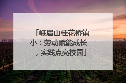 峨眉山桂花桥镇小：劳动赋能成长，实践点亮校园