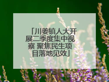 川姜镇人大开展二季度集中视察 聚焦民生项目落地见效