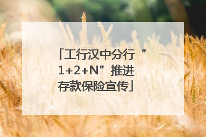 工行汉中分行“1+2+N”推进存款保险宣传