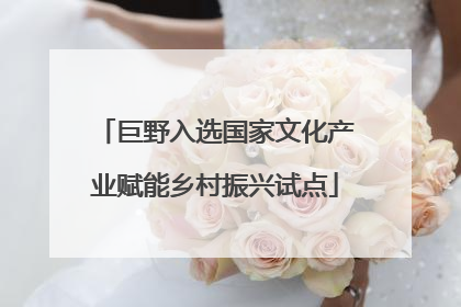 巨野入选国家文化产业赋能乡村振兴试点