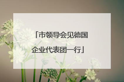 市领导会见德国企业代表团一行
