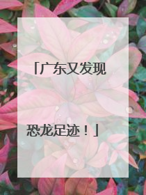 广东又发现恐龙足迹！