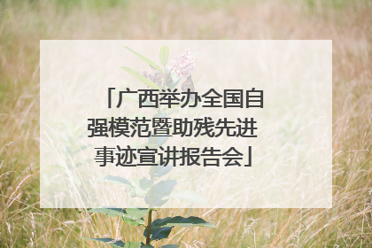 广西举办全国自强模范暨助残先进事迹宣讲报告会