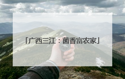 广西三江：菌香富农家