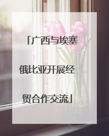 广西与埃塞俄比亚开展经贸合作交流