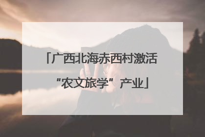 广西北海赤西村激活“农文旅学”产业