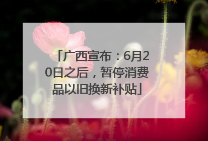 广西宣布：6月20日之后，暂停消费品以旧换新补贴