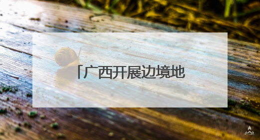广西开展边境地区民政服务能力提升专项行动