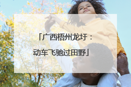 广西梧州龙圩：动车飞驰过田野