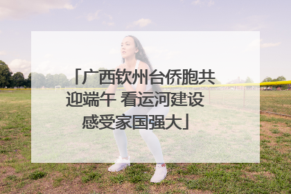 广西钦州台侨胞共迎端午 看运河建设感受家国强大
