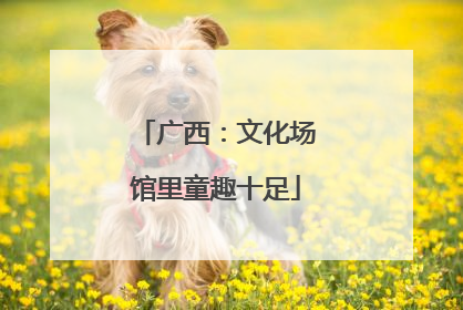 广西：文化场馆里童趣十足