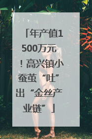 年产值1500万元！高兴镇小蚕茧“吐”出“金丝产业链”