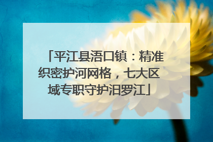 平江县浯口镇：精准织密护河网格，七大区域专职守护汨罗江