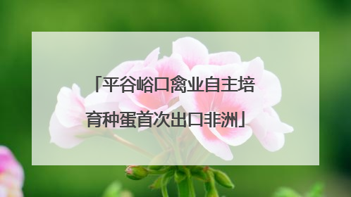 平谷峪口禽业自主培育种蛋首次出口非洲