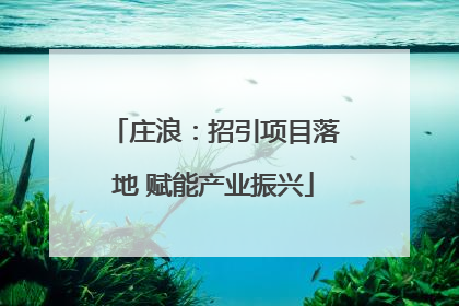 庄浪：招引项目落地 赋能产业振兴
