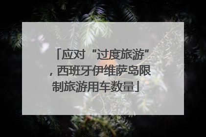 应对“过度旅游”，西班牙伊维萨岛限制旅游用车数量