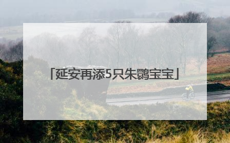 延安再添5只朱鹮宝宝