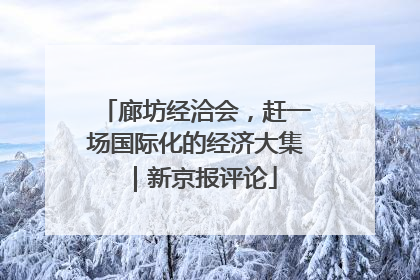 廊坊经洽会，赶一场国际化的经济大集｜新京报评论