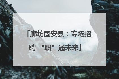 廊坊固安县：专场招聘 “职”通未来