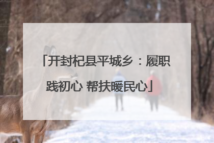 开封杞县平城乡：履职践初心 帮扶暖民心
