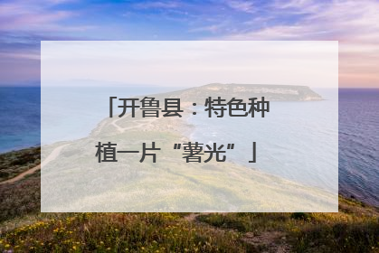 开鲁县：特色种植一片“薯光”