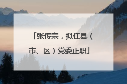 张传宗，拟任县（市、区）党委正职