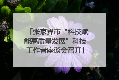 张家界市“科技赋能高质量发展”科技工作者座谈会召开