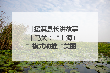 援滇县长讲故事｜马关：“上海+”模式助推“美丽产业”幸福绽放